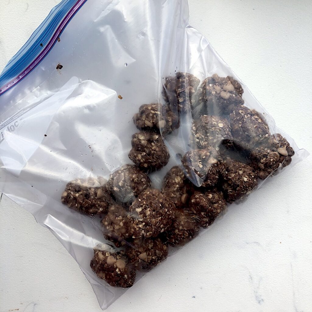 Store protein balls in a gallon size ziploc and freeze