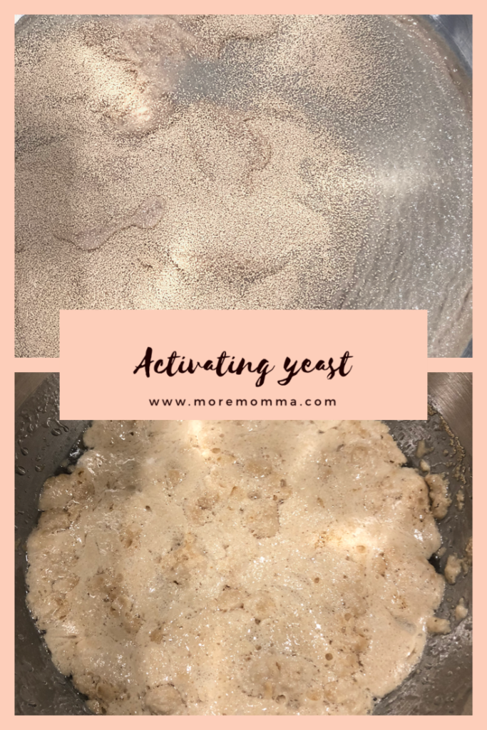 Activating Yeast: before and after before and after activating yeast