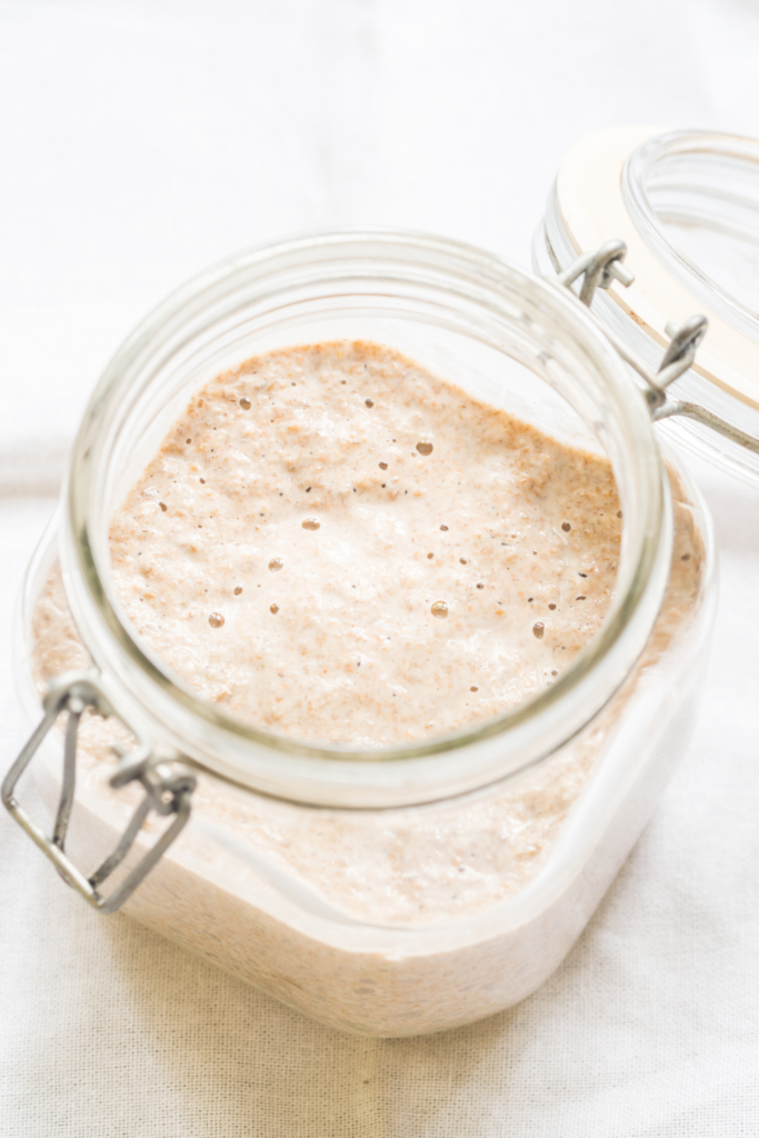 sourdough starter